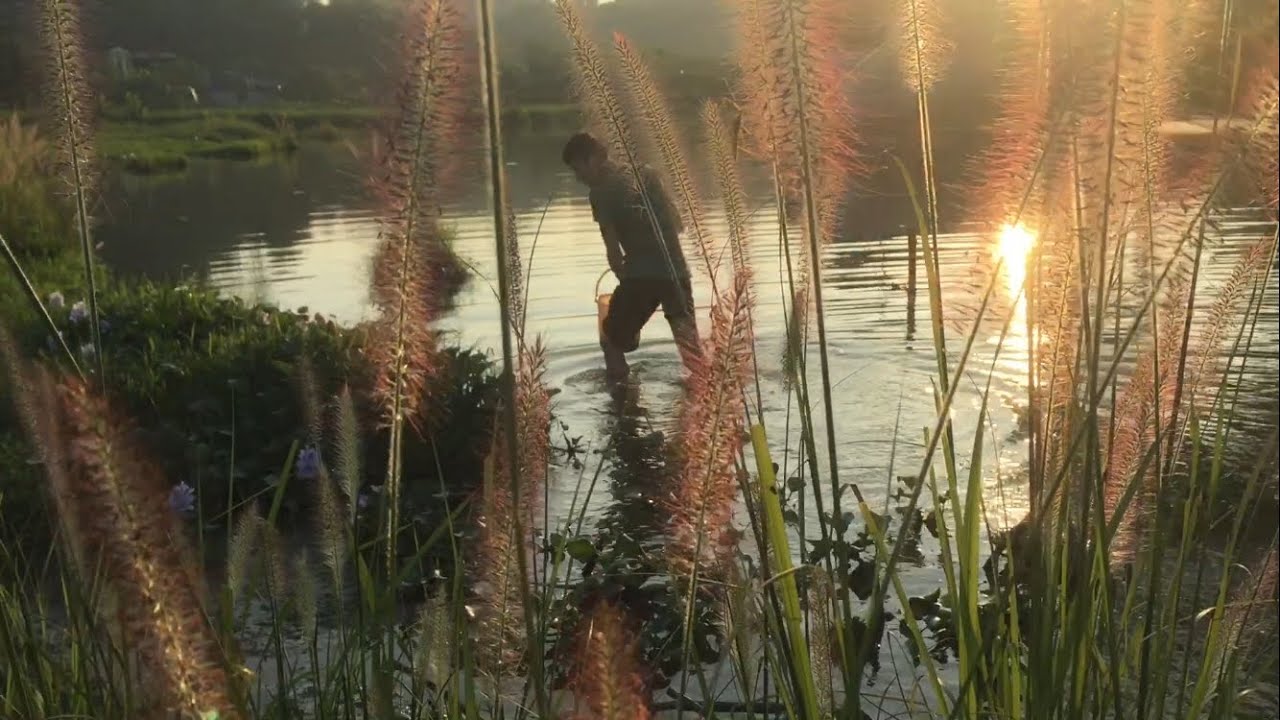 Một Vé Đi Tuổi Thơ_Được Bữa Ốc Ngon!! - YouTube Nhà Nông Chơi Cây