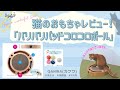 【猫と暮らす】新しいオモチャ「バリバリパッドコロコロボール」！！開封から猫の反応まで！【Life with my cat/Japan】