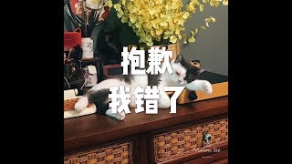 201508 抱歉 我错了25296