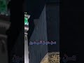إذا ماقال لي ربي أما استحيت تعصيني