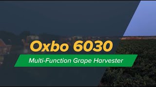 Oxbo 6030 | Multi-Function Grape Harvester