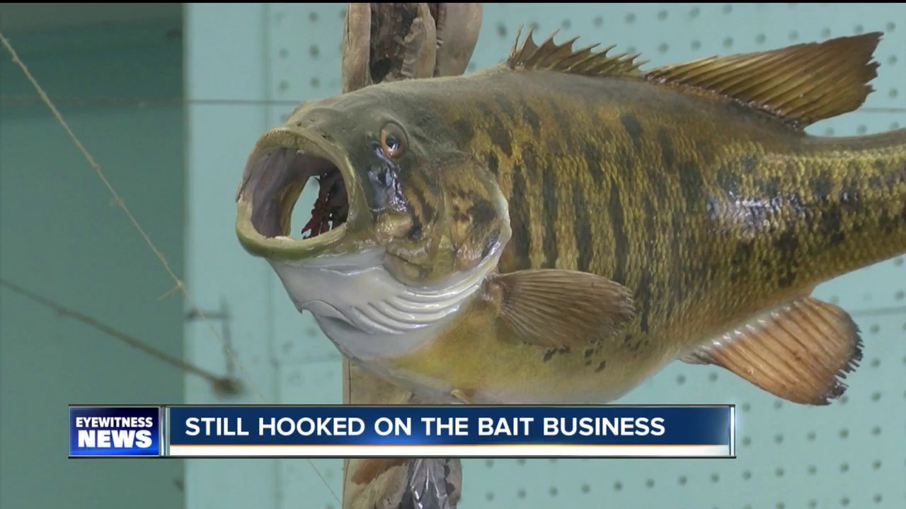 Dave's Bait & Tackle in Derby YouTube