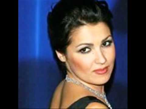 la tarantula e un bicho muy malo