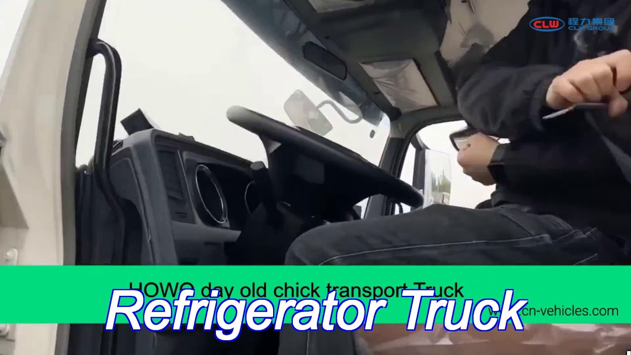 howo 4x2 refrigerator truck 3 ton day old chick transport truck for baby chick