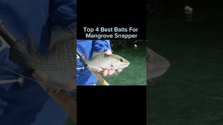 4 Umpan Terbaik untuk Ikan Kakap Bakau #shorts #fishing #fish #snapperfishing