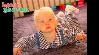 Colors and Shapes for Children by Baby Genius