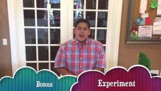 Science Fair Project - Corrosiveness Of Your Favorite Sodas