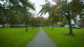 Wandelen Langs De Bomenpracht Van Dronten