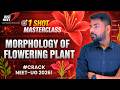Morphology of Flowering Plants – Flower | Complete Chapter for NEET 2026 🌸