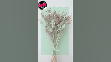 Fun Run 3 MOD menu 🆕 Tutorial downloading version MOD #gameplay