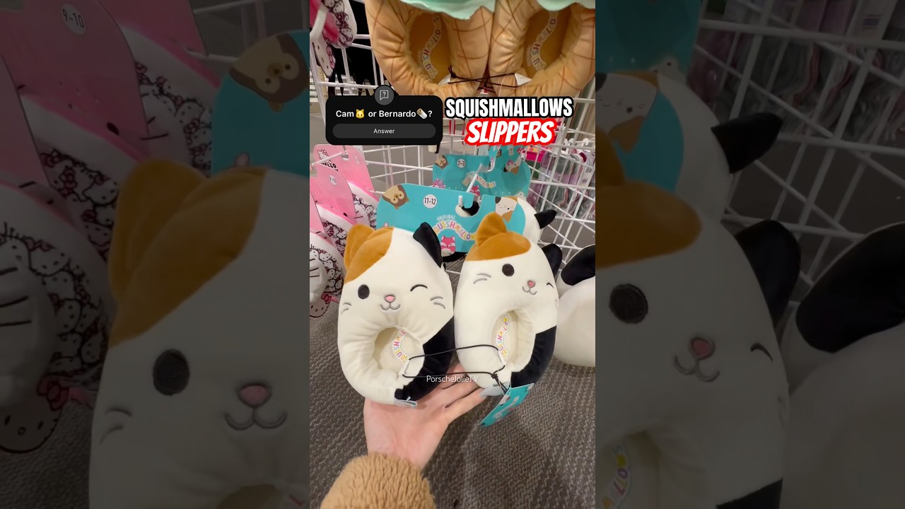 Cam🐱 or Bernardo🌯 Squishmallows❓