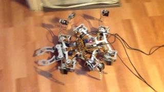 Duralumin Hexapod Walking