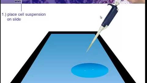 ELRIG DD14 Day 1 Snapshot  MMI Single Cell Isolation