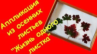 Аппликация из листьев. Осенняя аппликация для детей. Детское творчество. Изменение природы осенью.