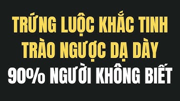 Trứng Luộc – Khắc Tinh Của Bệnh Trào Ngược Dạ Dày: Cần Biết Ngay Để Áp Dụng!