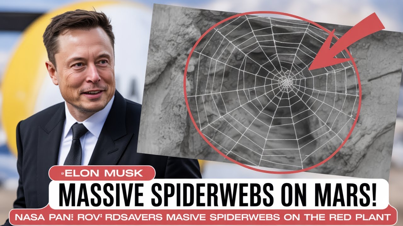 NASA's Strangest Mars Discovery Yet: Mysterious Webs Found on Red Planet