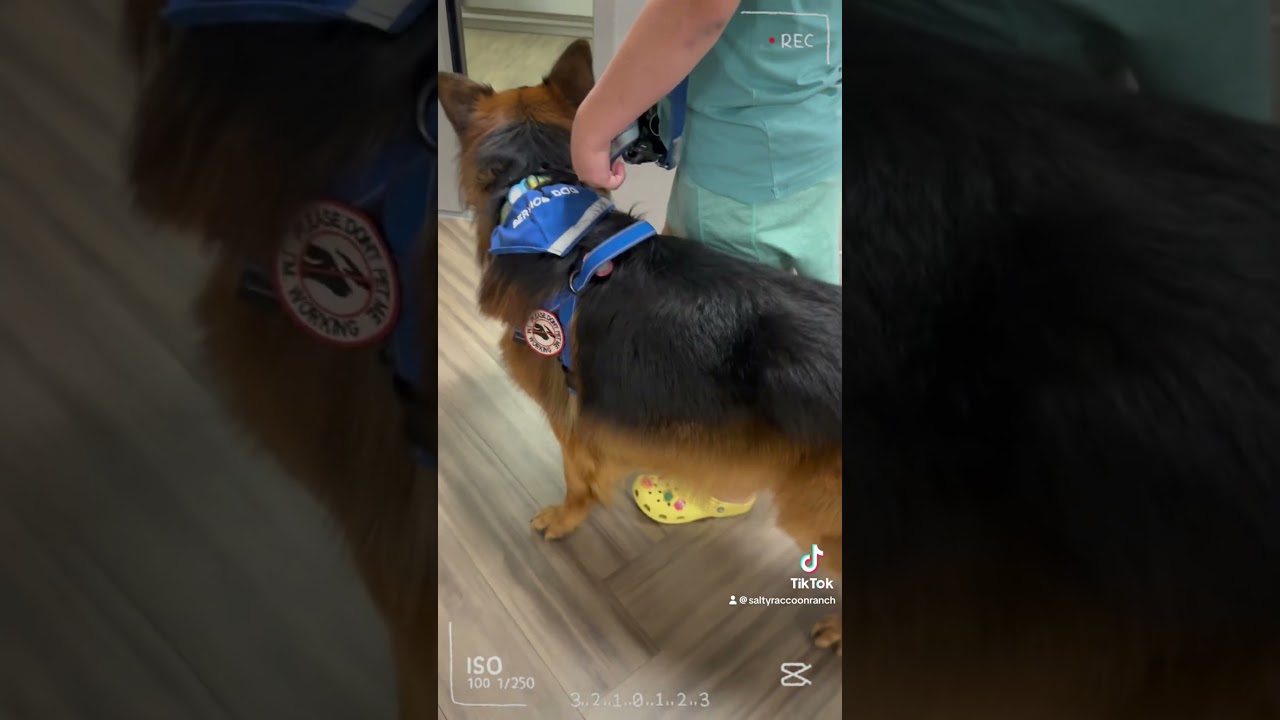 Hospital Day with My Medical Alert Dog 🏥🐾 Type 1 Diabetes Journey