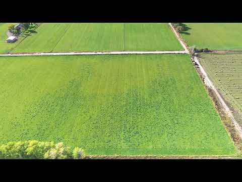 1654 M RD, Fruita, CO home video tour