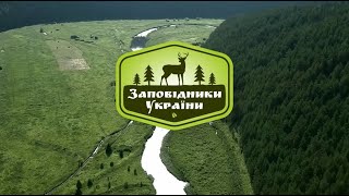 🐟 Рибоводний форелевий завод “Лопушно” ▶ Заповідники України 33 серія▶ Трофей
