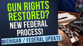 Details Can Michigan Felons Get Their Gun Rights Back New Federal Process Explained Update