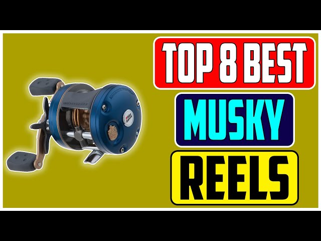 Musky Fishing Made Easy Choosing the Best Musky Reels In 2023 