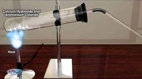 Preparation of ammonia #chemistry