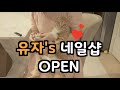 [유자 발톱깎기] 전생에 나라를 구한 집사 !! 고양이 발톱깎기 이렇게 쉬워도 되나요?!