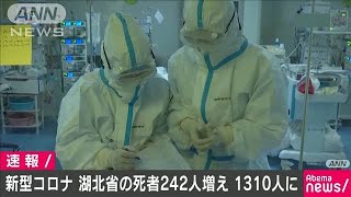 新型コロナの死者　湖北省で新たに242人増える(20/02/13)