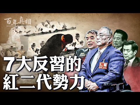 紅二代都反習？至少七個代表性人物，一次看。｜ #百年真相