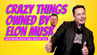 Top 10 Other Crazy Things Owned By Elon Musk