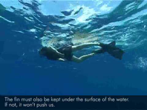 Video: Cosa Ti Serve Per Fare Snorkeling