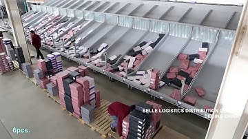 Damon Dare Cross Belt Sorter Application in China