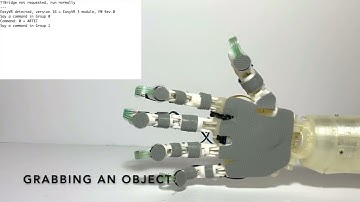 2022 Robofest Online World Championship RoboMed