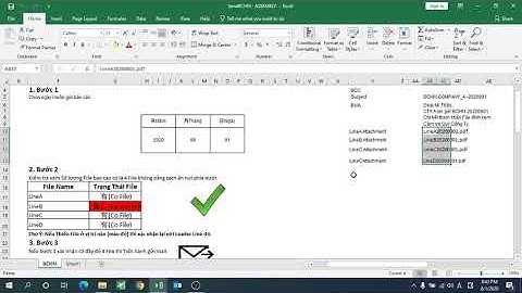 VBA in Excel_ Demo Video by Mr Thao