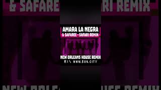 Amara La Negra Remix