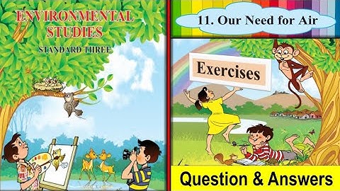 Std.3rd Exercise (11. Our Need for Air) Question & Answers [Environmental Studies]