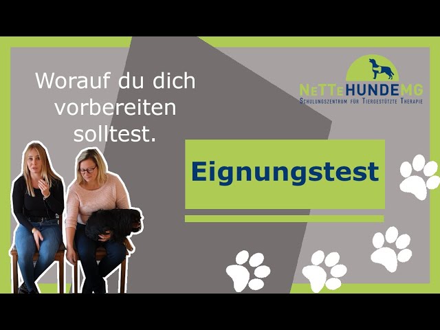 Top Besuchshund Ausbildung NRW: Jetzt anmelden! 3 sddefault