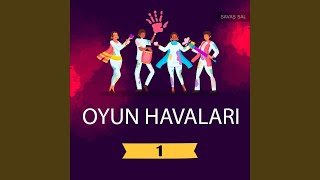 Acayip Hayvanlara Benzirsen