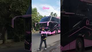 Utrans #bus #busmania #automobile #blackpink #utran #tentremkaroseri #buspariwisata