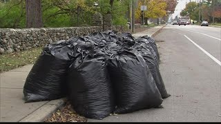 Indianapolis leaf collection begins Nov. 8