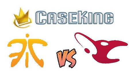 Dog predicts results in CS:GO, Fnatic-mouz 08-09-2014