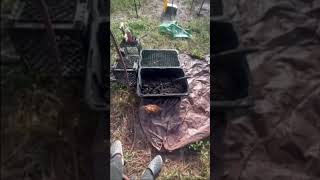 Adding Tote to H00D FARM after a trip to Tractor Supply ￼#farming #garden #dog #diy #miami #farming
