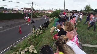 Tourada Terreiro Santo - Touros EG - (24,45,31,56) - Vila Nova - 27/8/2024 - Ilha Terceira - Açores