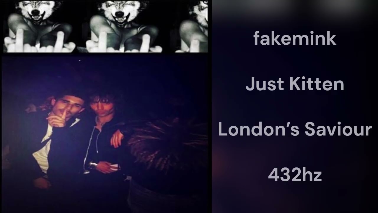 fakemink - Just Kitten (432hz)