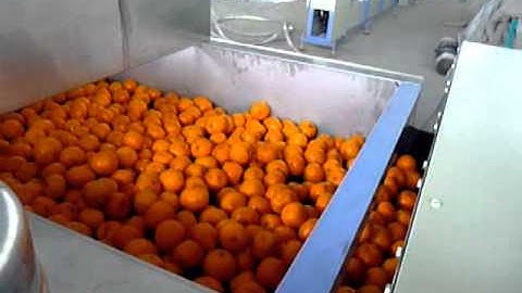 Fruit Washing Waxing Drying Sorting Machine