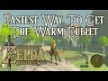 Zelda Breath of the Wild- Fastest Way To Get The Warm Doublet