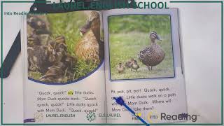 Start Right Reader G2 Ducks Hatch