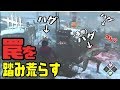 初心者ハグに強気チェイスするしょこ【2019_04_10】