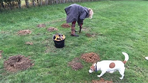 The Secret to Successful Mole Catching