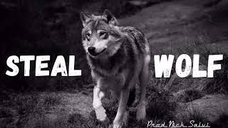 steal-wolf-guitar-beat---prod-nick-salvi